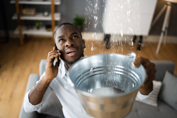 Best Water damage contractors near me  in Polkton, NC