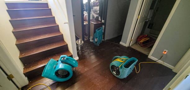 Best Flood restoration services  in Polkton, NC